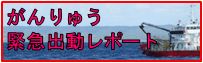 がんりゅう緊急出動レポート